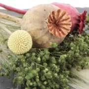 Fiori secchi per creazione diy x1 stelo