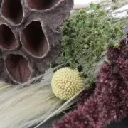 Fiori secchi per creazione diy x1 stelo