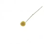 Fiori secchi per creazione diy x1 stelo