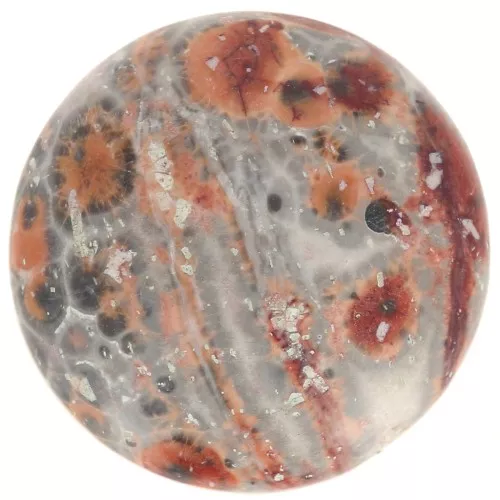 Cabochon tondo mm. 20 Leopard