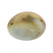 Distanziatore 2 fori Occhio di Shiva  16x14 mm Naturale x 1