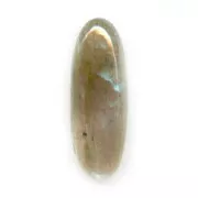 Cabochon ovale mm. 22x8 Labradorite