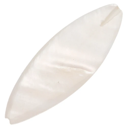 Dischi piatti ovali in madreperla iridata mm. 30x10 Naturale x6