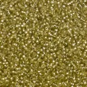 Rocaille Miyuki 15/0 1631 - Dyed Silver Lined Saffron x8 g