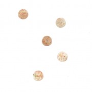 Cabochon rotondi 3mm Sun Stone o Pietra del sole x5