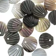 Conchiglia di madreperla 9x10 mm Grigio iridato x1