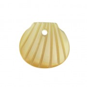 Conchiglia di madreperla 9x10 mm Avorio x1