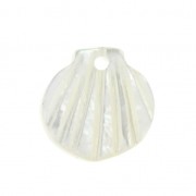 Conchiglia di madreperla 10x11 mm Naturale x1