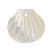 Zecchino a forma di conchiglia 10x11 mm - Madreperla x1