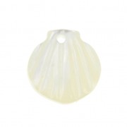 Conchiglia di madreperla 10x11 mm Naturale x1