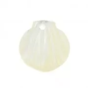 Conchiglia di madreperla 10x11 mm Naturale x1