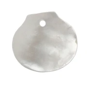 Zecchino a forma di conchiglia 10x11 mm - Madreperla x1