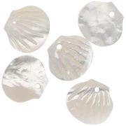 Zecchino a forma di conchiglia 10x11 mm - Madreperla x1