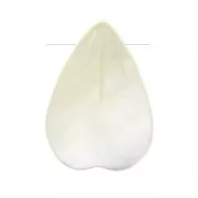 Goutte pétale en Nacre 13.5x10 mm Naturale  x1