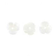Fiori Madreperla 8 mm Naturale  x4|raw }}
