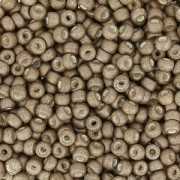 Rocaille Miyuki 11/0 2091 - Met Tarnished Silver Mat