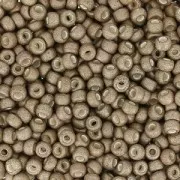 Rocaille Miyuki 11/0 2091 - Met Tarnished Silver Mat