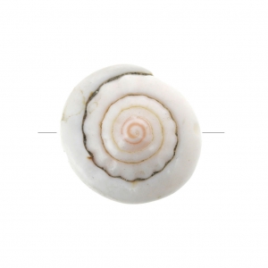 Perla conchiglia 15 x 8 mm per la creazione di bijoux x1