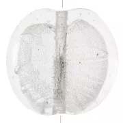 Grande Disco piatto foglia argento mm. 35 Crystal x1