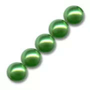 Perline mm. 6 Green x50
