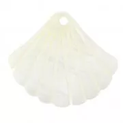 Ciondolo madreperla conchiglia - 25x30 mm per la creazione di bijoux x1