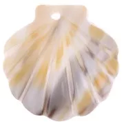 Ciondolo conchiglia in acetato di cellulosa 19x18.5 mm effetto Naturale