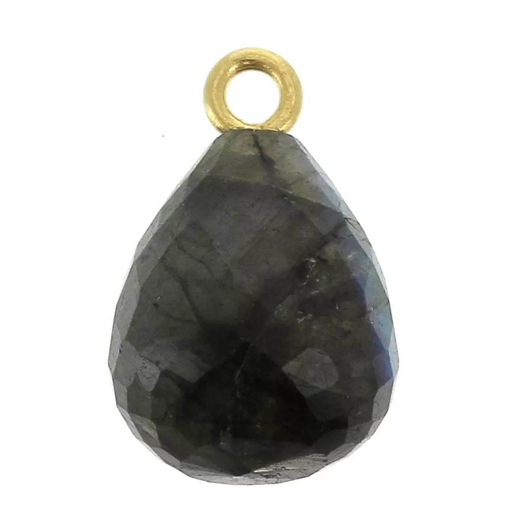 Orecchini a goccia in labradorite: orecchini pendenti in argento sterling 925 - Italia