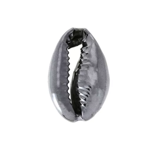 Conchiglia Ciprea galvanizzata black per bigiotteria DIY - 12 a 20 mm x 1