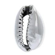 Coquillage Ciprea galvanizzata argento per bigiotteria DIY -  16 a 23 mm x|raw }}