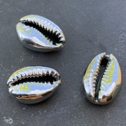 Coquillage Ciprea galvanizzata argento per bigiotteria DIY -  16 a 23 mm x