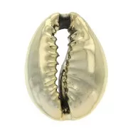 Coquillage Ciprea 16 a 23 mm - Dorato con oro fino x1