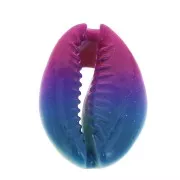 Conchiglia cauri/ciprea per la creazione di bijoux DIY- 20 a 26mm x1