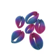 Conchiglia cauri/ciprea per la creazione di bijoux DIY- 20 a 26mm x1