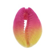 Conchiglia cauri/ciprea per la creazione di bijoux DIY - 20 à 26mm x1