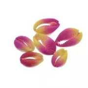 Conchiglia cauri/ciprea per la creazione di bijoux DIY - 20 à 26mm x1