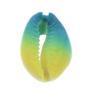 Conchiglia cauri/ciprea per la creazione di bijoux DIY- 20 a 26mm x1|raw }}