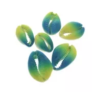 Conchiglia cauri/ciprea per la creazione di bijoux DIY- 20 a 26mm x1