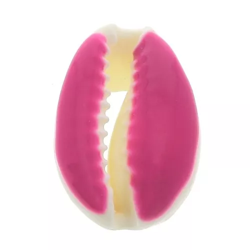 Conchiglia cauri/ciprea con resina eposs. per creare bijoux 20 a 25mm Fuchsia x1