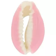 Conchiglia cauri/ciprea con resina eposs. per creare bijoux 20 a 25mm Rosa x1