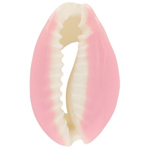 Conchiglia cauri/ciprea con resina eposs. per creare bijoux 20 a 25mm Rosa x1