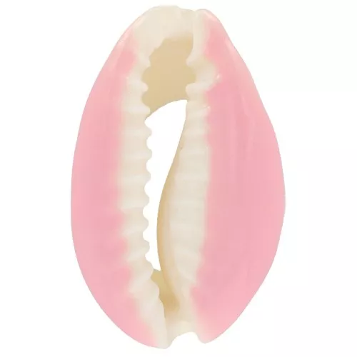 Conchiglia cauri/ciprea con resina eposs. per creare bijoux 20 a 25mm Rosa x1
