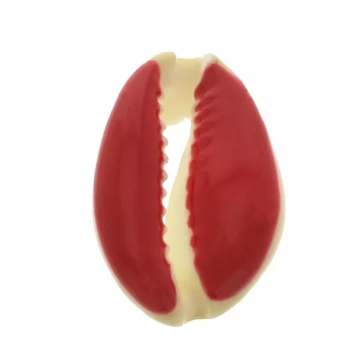 Conchiglia cauri/ciprea con resina eposs. per creare bijoux 20 a 25mm Rosso x1