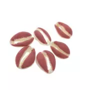 Conchiglia cauri/ciprea con resina eposs. per creare bijoux 20 a 25mm Rugine x1