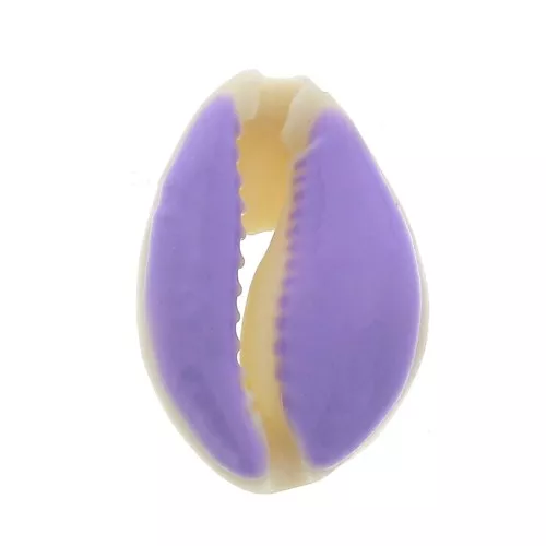 Conchiglia cauri/ciprea con resina eposs. per creare bijoux 20 a 25mm Viola  x1