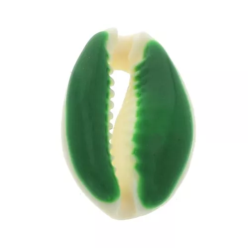 Conchiglia cauri/ciprea con resina eposs. per creare bijoux 20 a 25mm Verde x1