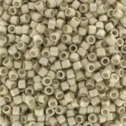Miyuki Delica 11/0 DB1151 - Galvanized Semi Mat Silver