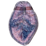 Foglie ondulate mm. 14x9 Lumi Amethyst x20