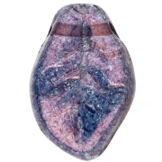 Foglie ondulate mm. 14x9 Lumi Amethyst x20