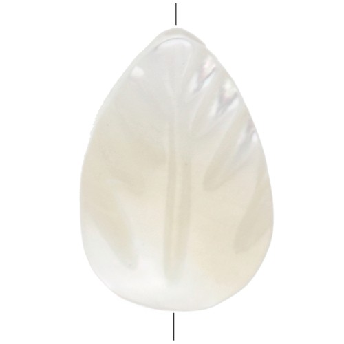 Perle di madreperla - Foglie - 9,5x6. mm - per creare bigiotteria x4