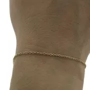 Catena forzatina mm. 1.5 Acciaio inox Dorato 316L x 50cm